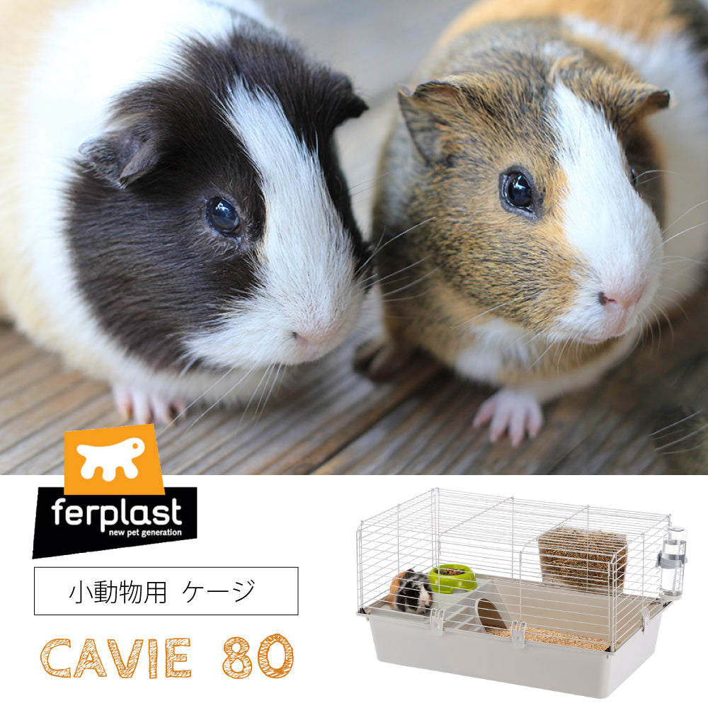 CAVIE キャビエ 80 モルモット・うさぎ ゲージ 小動物